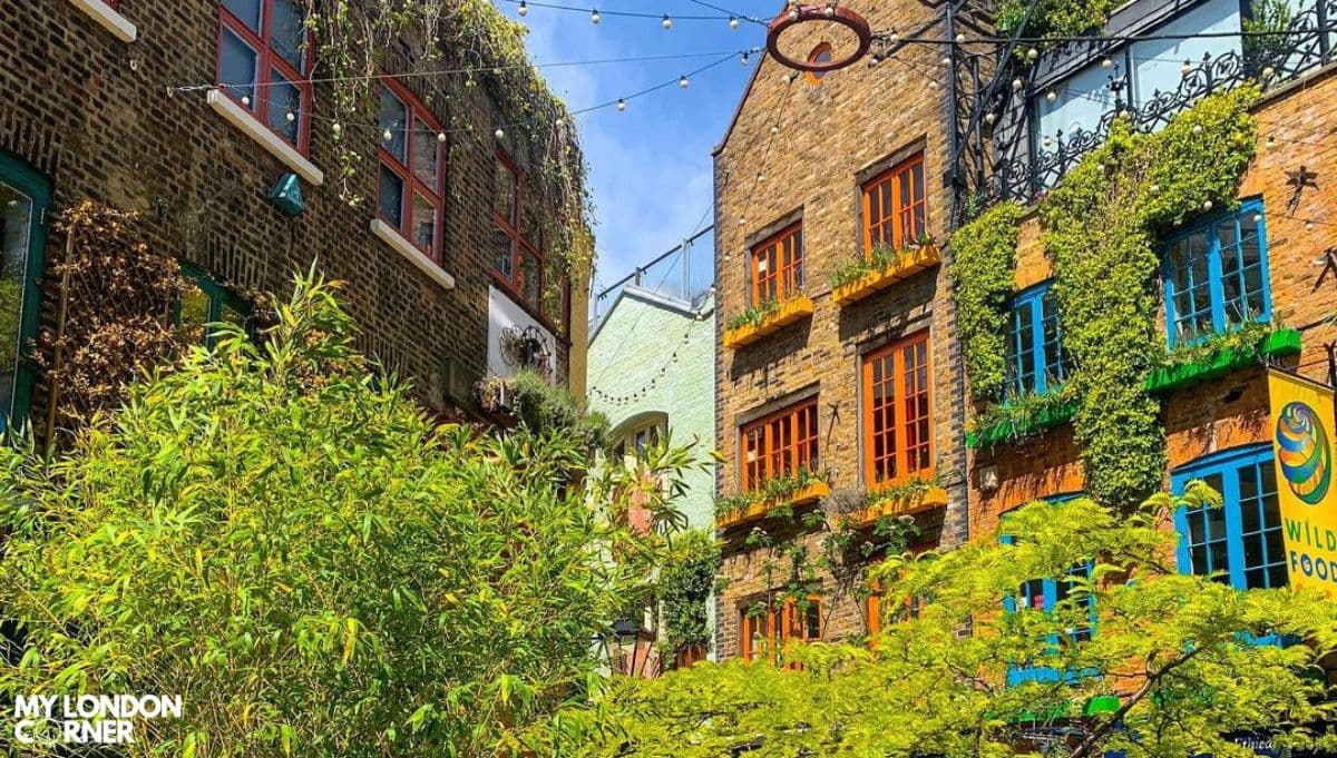 Neal's Yard: Il Giardino Nascosto di Londra